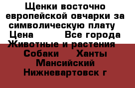 Щенки восточно европейской овчарки за символическую плату › Цена ­ 250 - Все города Животные и растения » Собаки   . Ханты-Мансийский,Нижневартовск г.